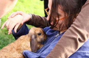 Terapia Assistita con gli Animali